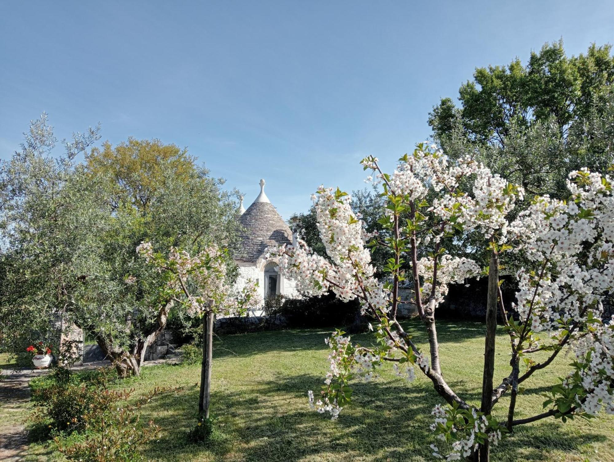 فيلا Trulli Manuela لوكوروتوندو المظهر الخارجي الصورة